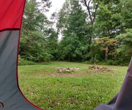 campsite 56