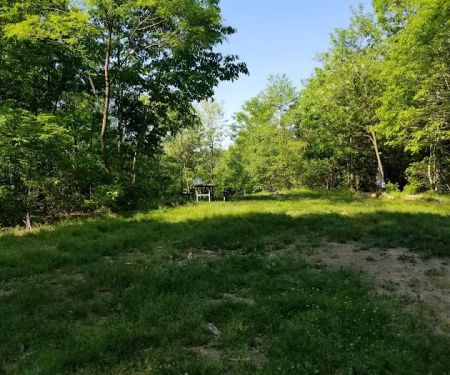 Green Ridge State Forest Campsite 20