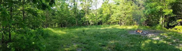 Green Ridge State Forest Campsite 20 Picture 2