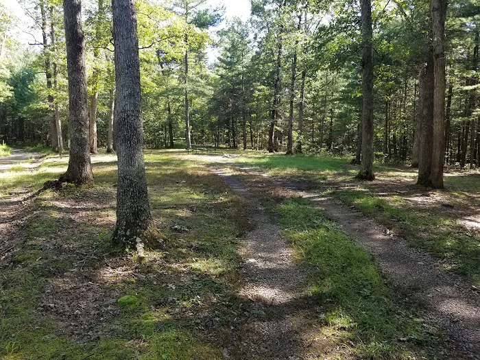 Green Ridge State Forest Campsite #7 Picture 5