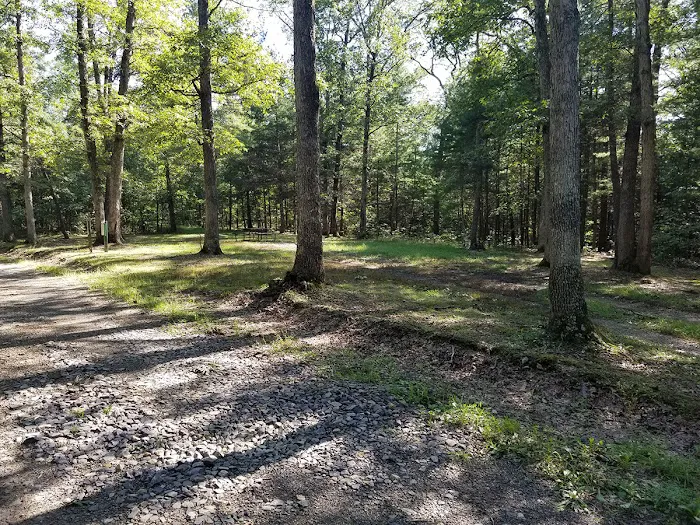 Green Ridge State Forest Campsite #7 Picture 1