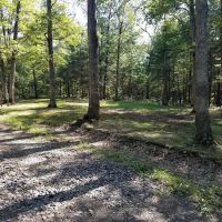 Green Ridge State Forest Campsite #7 ico