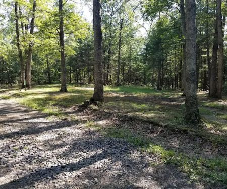 Green Ridge State Forest Campsite #7