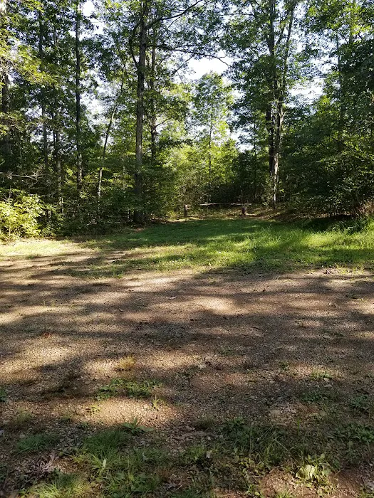 Green Ridge State Forest Campsite #7 Picture 4