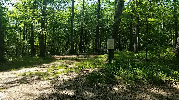 Green Ridge State Forest Campsite 16 Picture 1