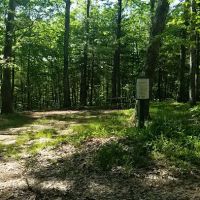 Green Ridge State Forest Campsite 16 ico