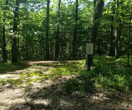 Green Ridge State Forest Campsite 16