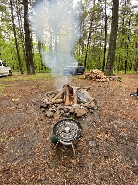 Green Ridge State Forest Campsite 16 Picture 2