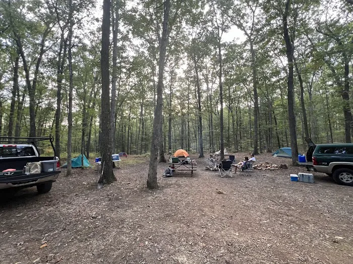 Green Ridge State Forest Campsite 17 Picture 3