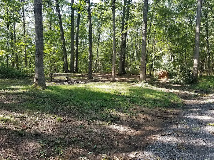 Green Ridge State Forest Campsite #8 Picture 2