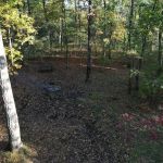 Green Ridge State Forest Campsite #8
