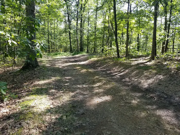 Green Ridge State Forest Campsite #8 Picture 3