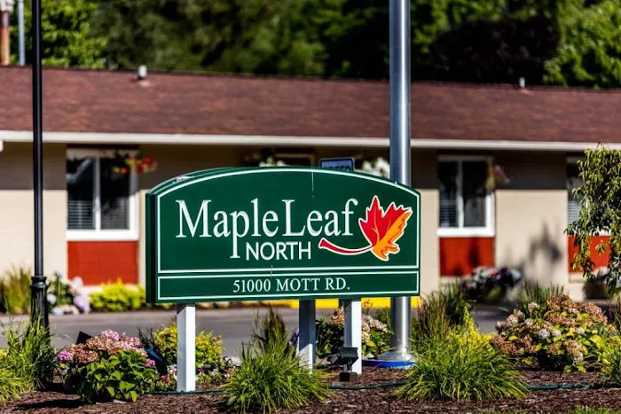 Maple Leaf North Picture 2