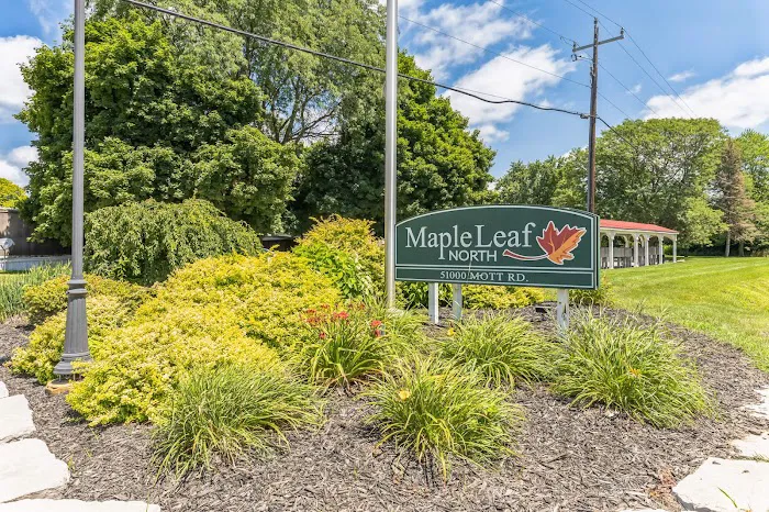Maple Leaf North Picture 10