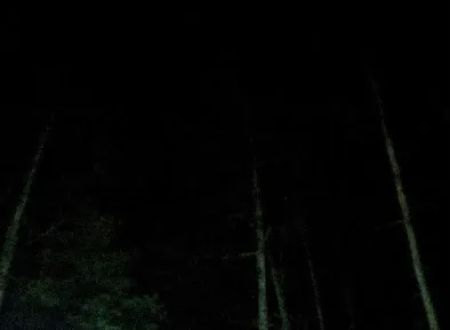 Campsite 18