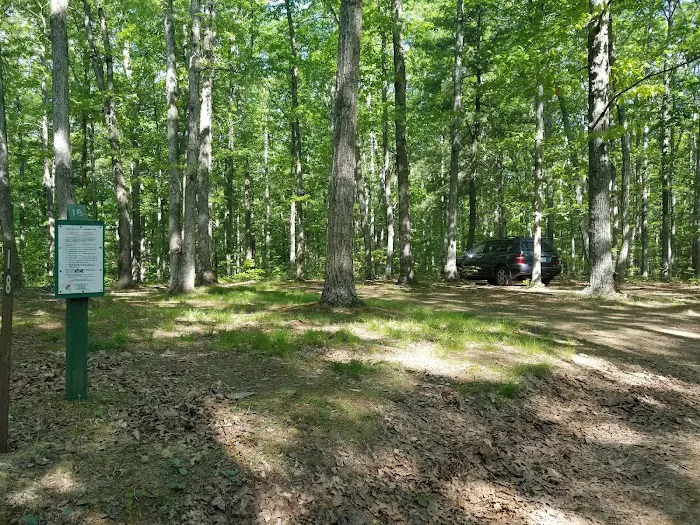 Campsite 18 Picture 4