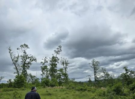 Campsite 28