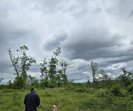 Campsite 28