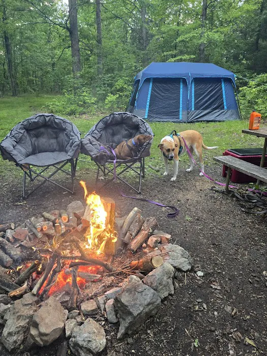 Campsite 28 Picture 2