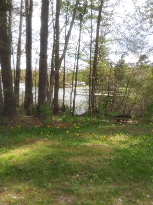 Quemahoning Family Recreation Area Picture 4