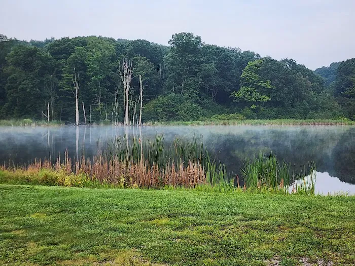 Hickory Hollow Campground Picture 7