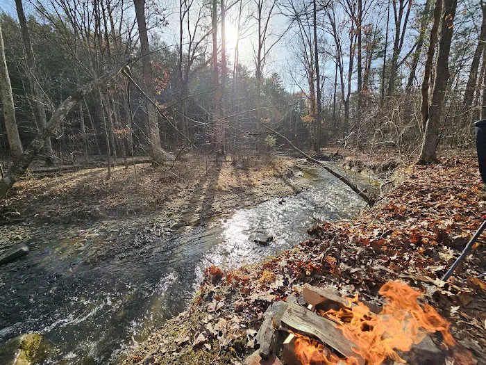 Green Ridge State Forest Campground #3 Picture 4