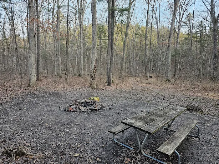Green Ridge State Forest Campground #3 Picture 7