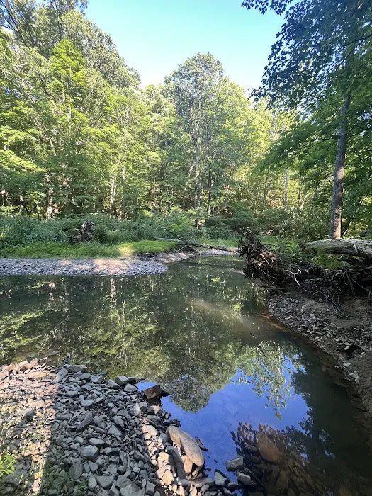 Green Ridge State Forest Campground #3 Picture 2