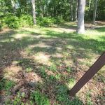 Green Ridge State Forest Camp Site #9