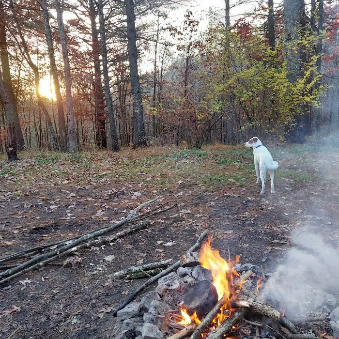 Campsite 14 Picture 3