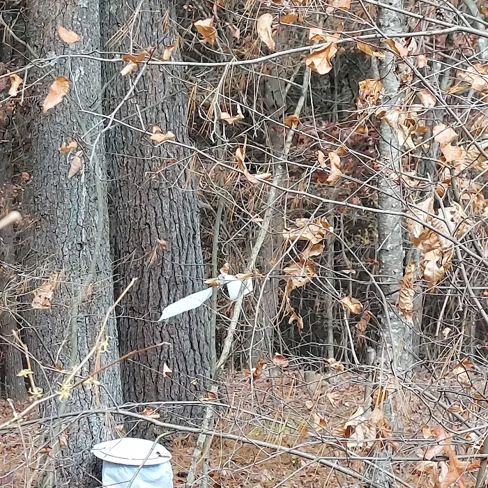 Campsite 14 Picture 8