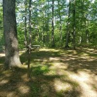 Green Ridge State Forest Campsite 19 ico