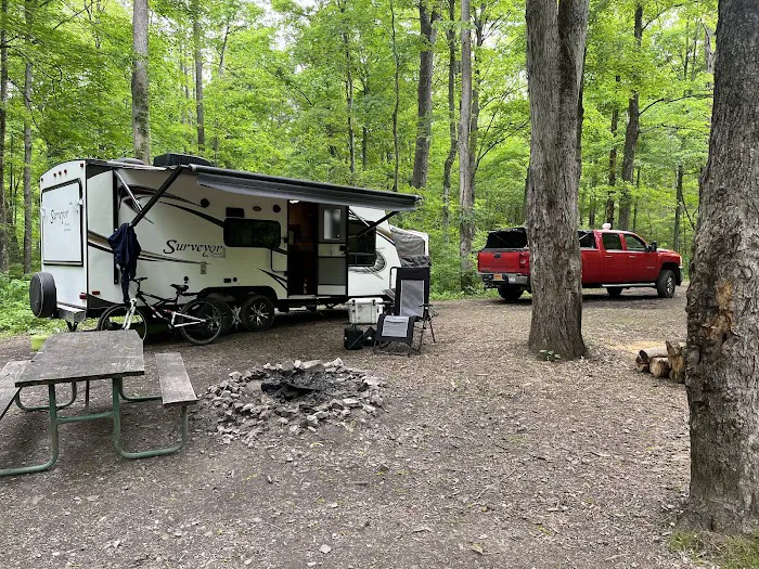 Green Ridge State Forest Campsite #1 Picture 2