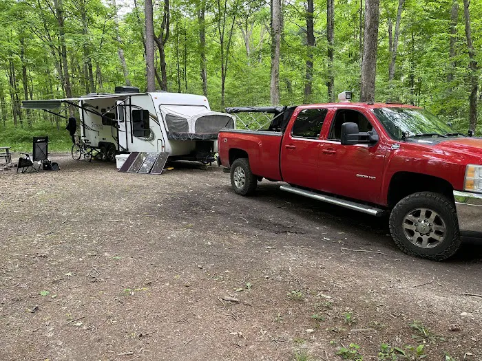 Green Ridge State Forest Campsite #1 Picture 9