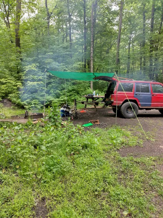 Forbes State Forest Motorized Site 2 Picture 6