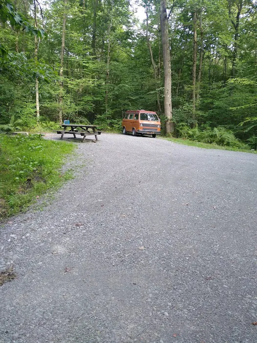 Forbes State Forest Motorized Site 2 Picture 2