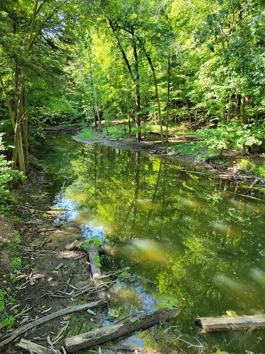 Grand Ledge Ravines Picture 9