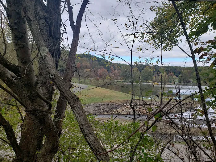 Keystone State Park - Family Cabins Picture 5