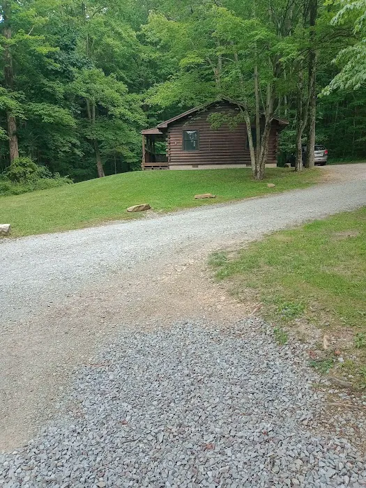 Keystone State Park - Family Cabins Picture 3