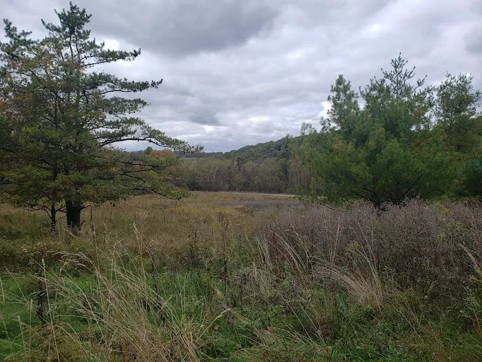 Keystone State Park - Family Cabins Picture 1