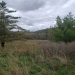 Keystone State Park - Family Cabins