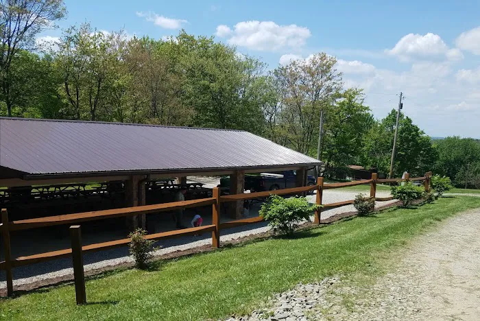 Miller's Campground Picture 3