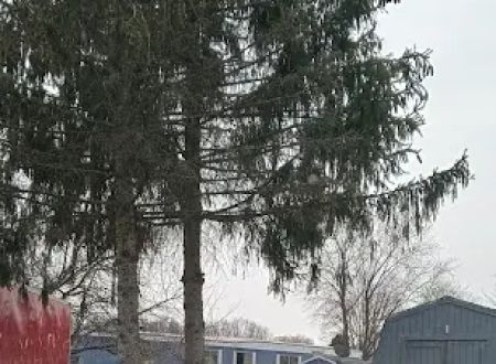 Country Village Mobile Home
