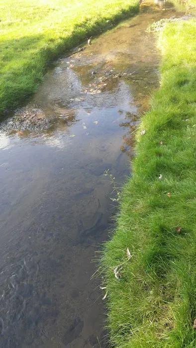 Sherwood Forest Mobile Home Park Picture 5