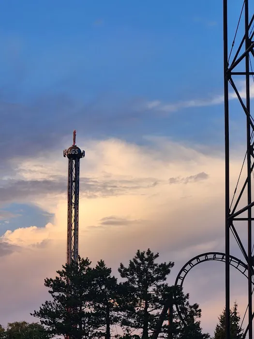 Six Flags Darien Lake Picture 5