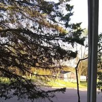 Highland Hills ico