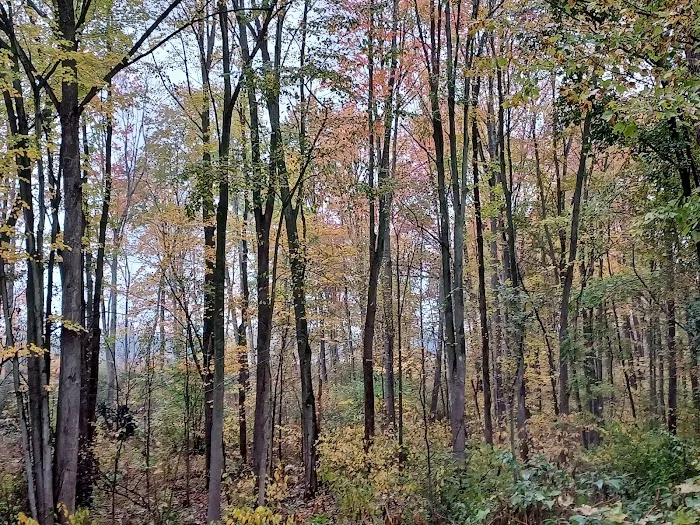 Sugar Loaf Mobile Home Park Picture 9