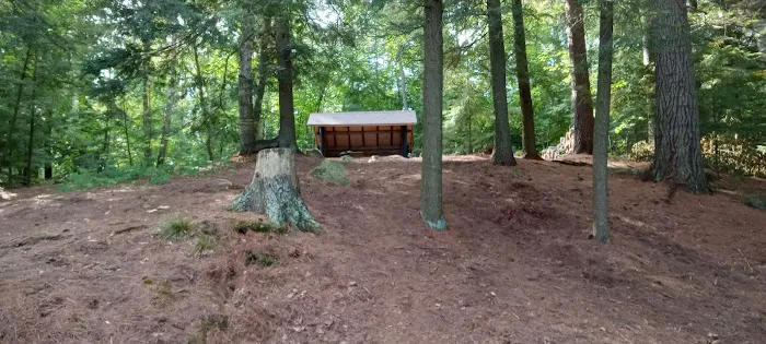 Saranac Lake Islands Camp ground Picture 4