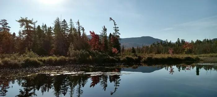 Saranac Lake Islands Camp ground Picture 5