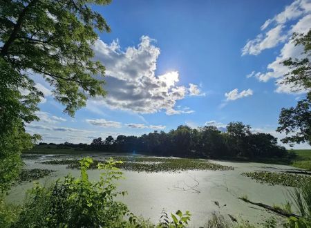 Golden Pond Mobile Home Park